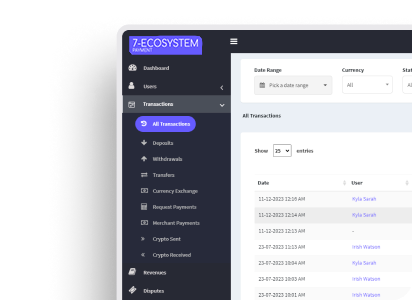 Individual dashboard preview showing personal finance management interface